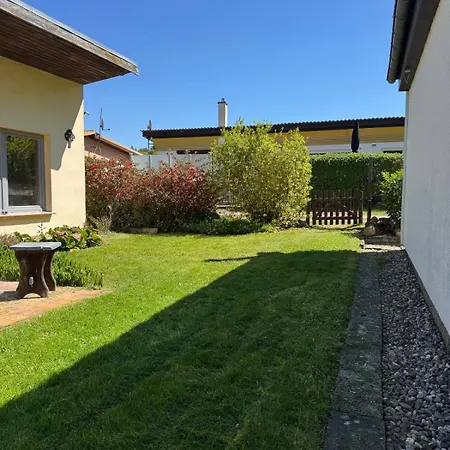 Snugglehaus - Noch Keine Bilder, Traust Du Dich -