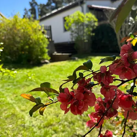 Snugglehaus - Noch Keine Bilder, Traust Du Dich -